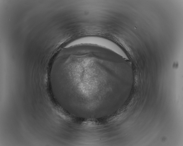 X0000095110211200712301744