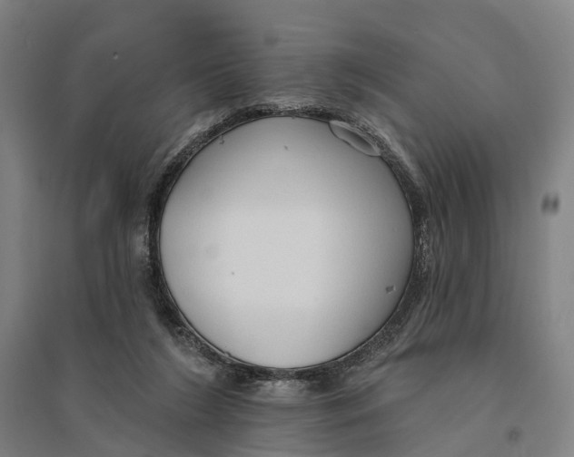 X0000095110212200712301744