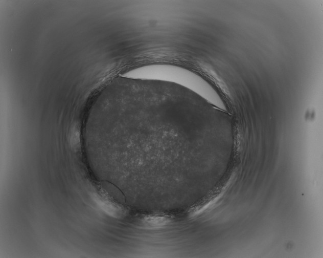 X0000095110213200712301744