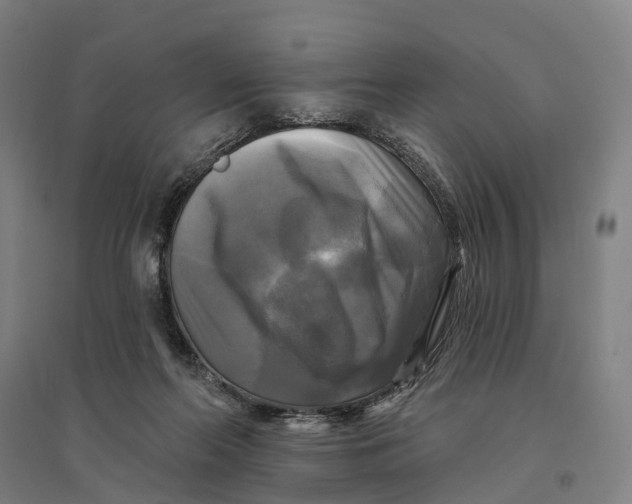 X0000095110214200712301744