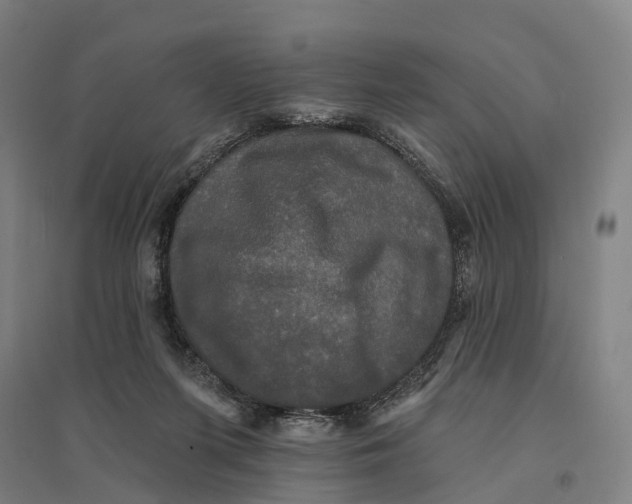 X0000095110215200712301744