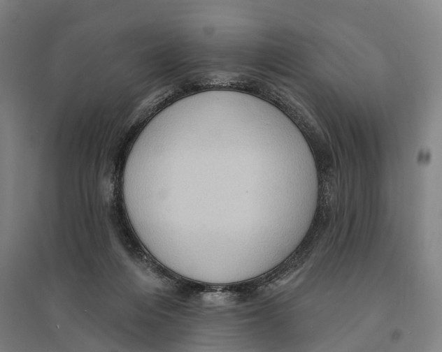 X0000095110216200712301744