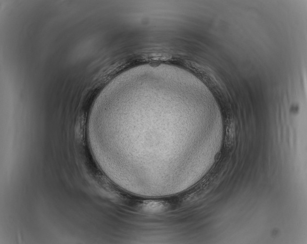 X0000095110218200712301744