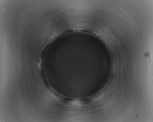 X0000095110219200712301744