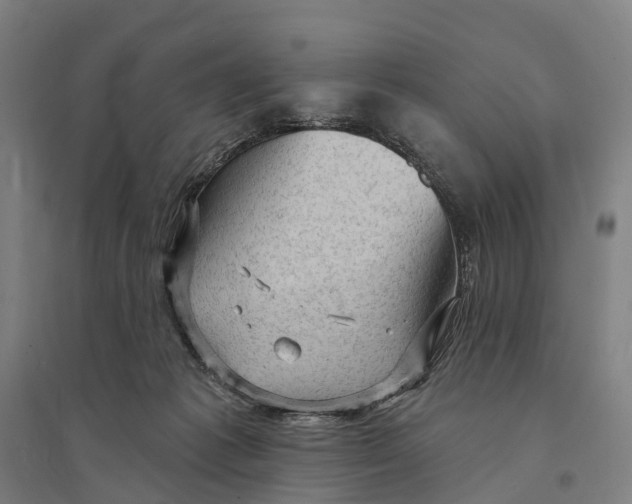 X0000095110221200712301744