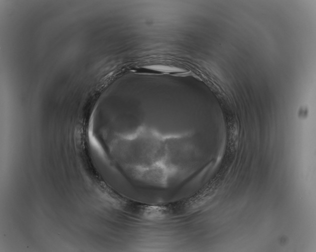 X0000095110222200712301744