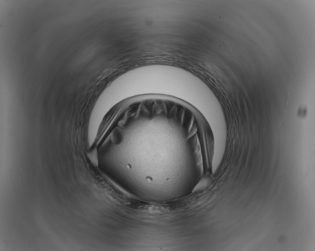 X0000095110223200712301744