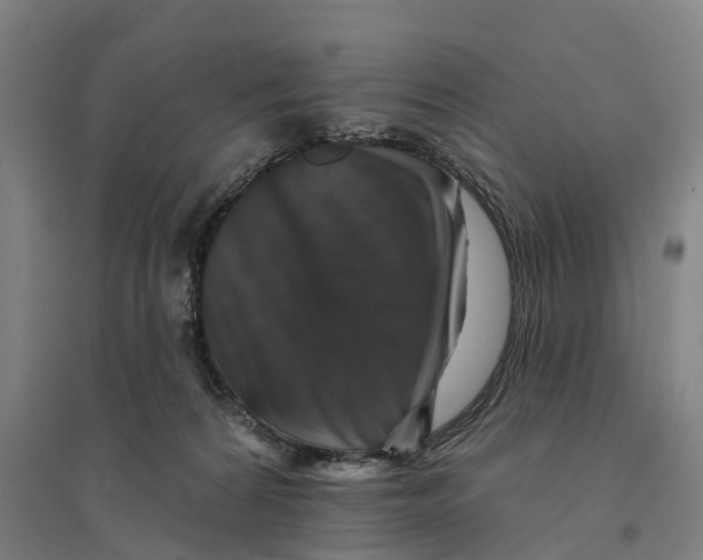 X0000095110224200712301744