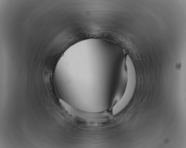 X0000095110225200712301744