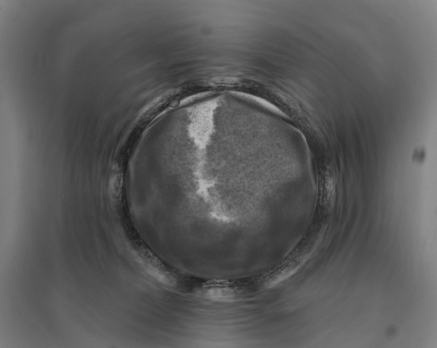 X0000095110228200712301744