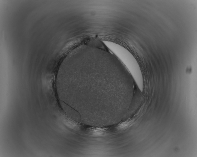 X0000095110229200712301744