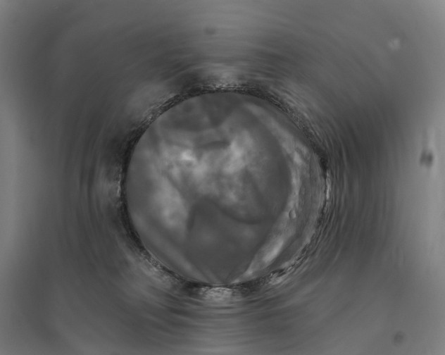 X0000095110230200712301744