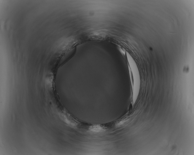 X0000095110231200712301744