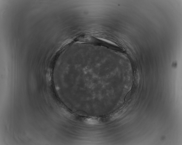 X0000095110232200712301744