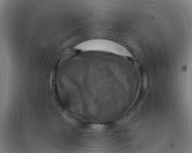 X0000095110233200712301744