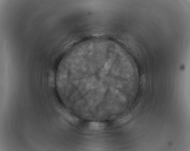 X0000095110234200712301744