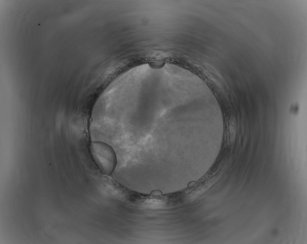 X0000095110236200712301744