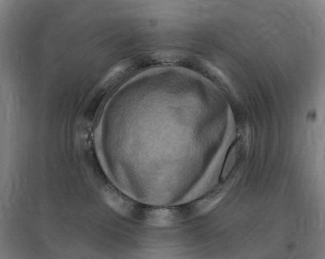 X0000095110237200712301744