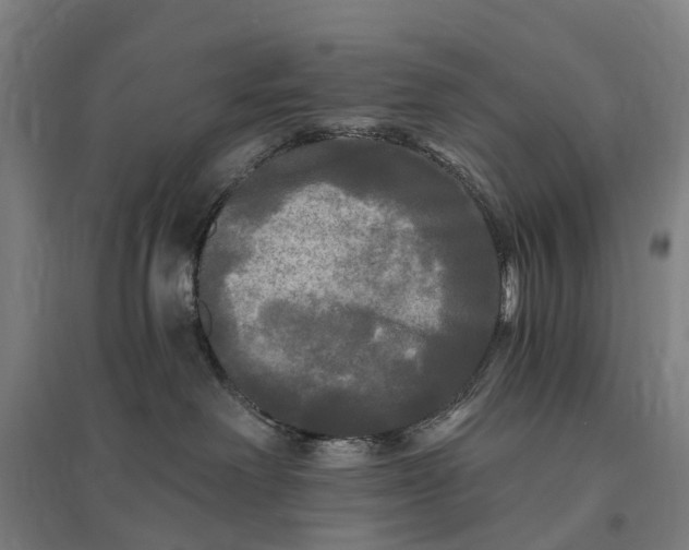 X0000095110238200712301744