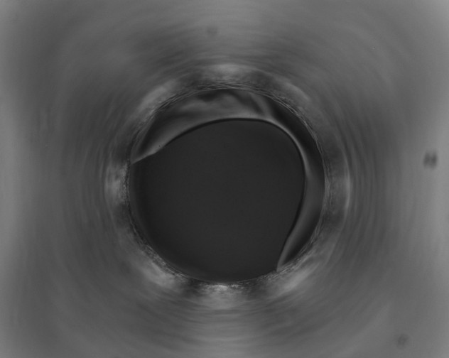 X0000095110239200712301744