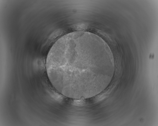 X0000095110240200712301744