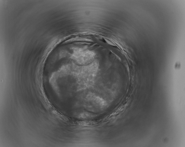 X0000095110241200712301743