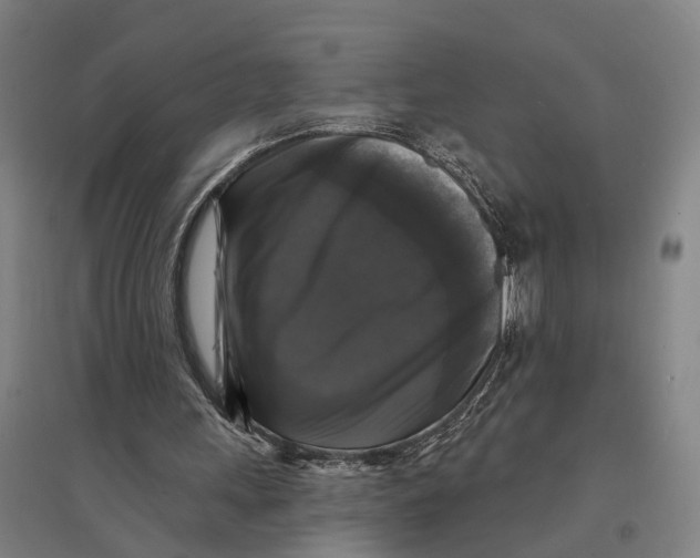 X0000095110243200712301743