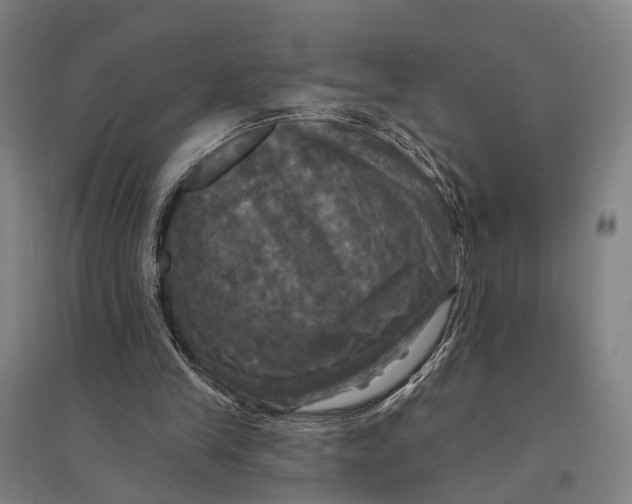 X0000095110245200712301743