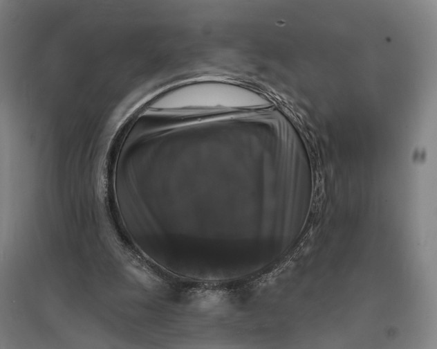 X0000095110247200712301743