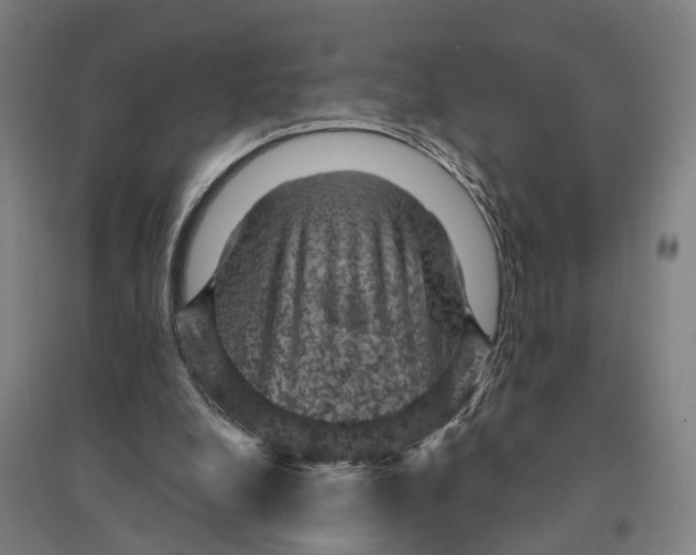 X0000095110248200712301743