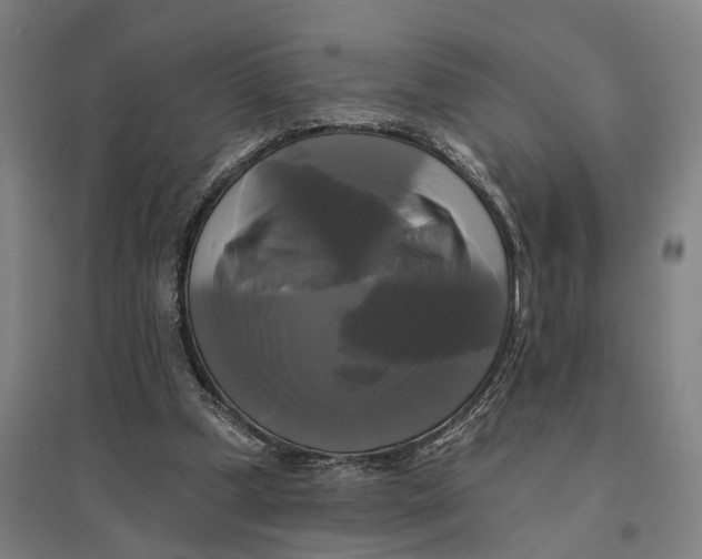 X0000095110249200712301743