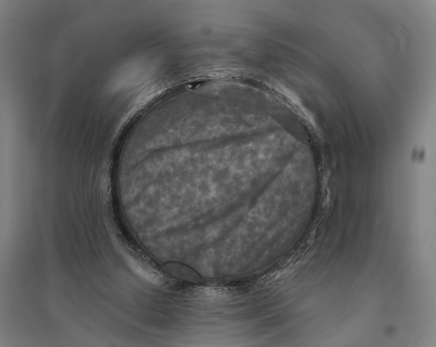 X0000095110250200712301743