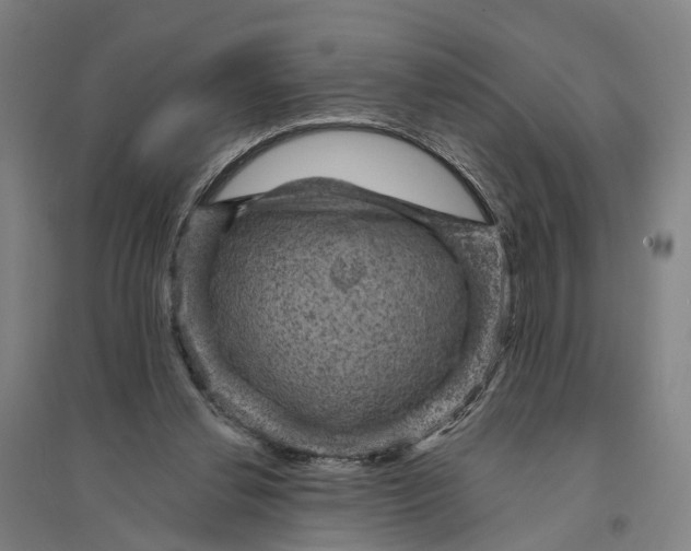 X0000095110252200712301743