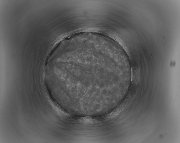 X0000095110253200712301743