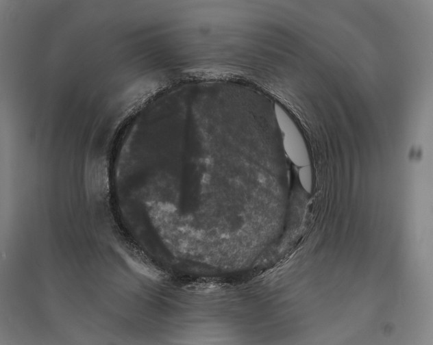 X0000095110254200712301743