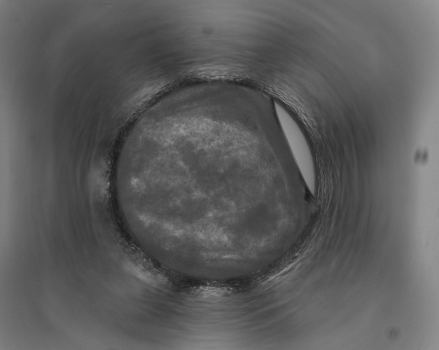 X0000095110255200712301743