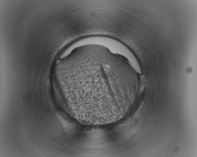 X0000095110256200712301743