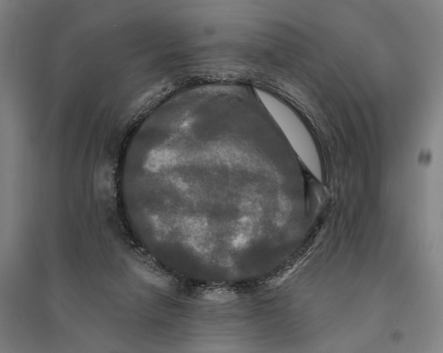 X0000095110258200712301743