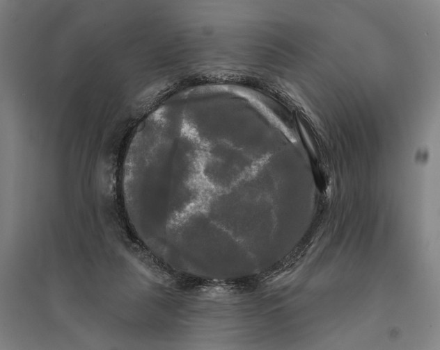 X0000095110259200712301743