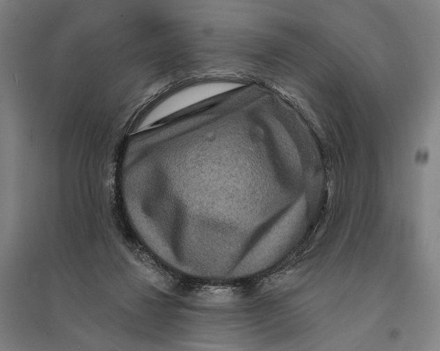 X0000095110260200712301743