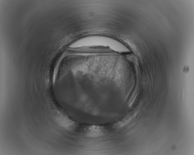 X0000095110261200712301743