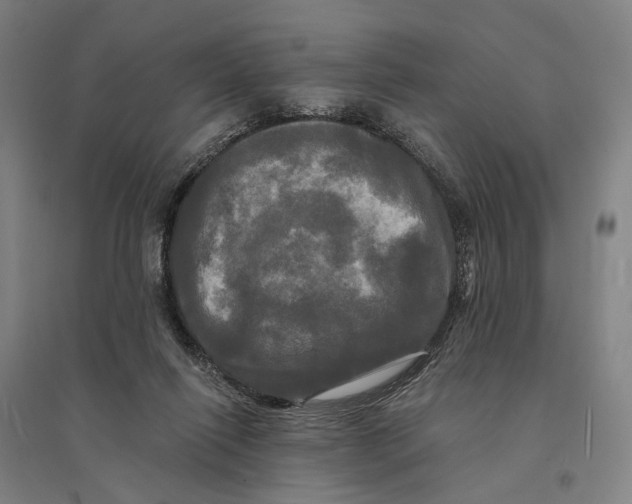 X0000095110262200712301743