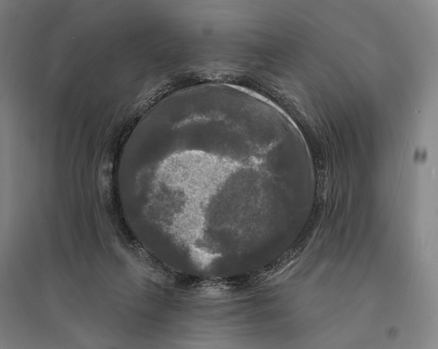 X0000095110263200712301743