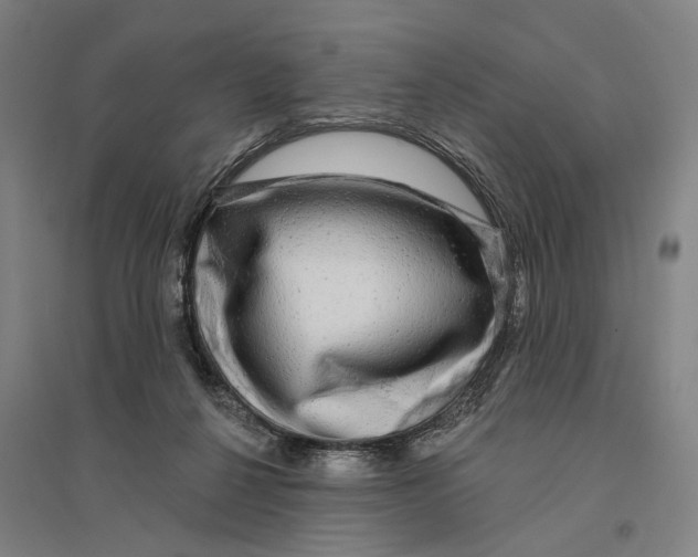 X0000095110264200712301743