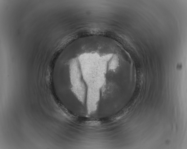 X0000095110266200712301744