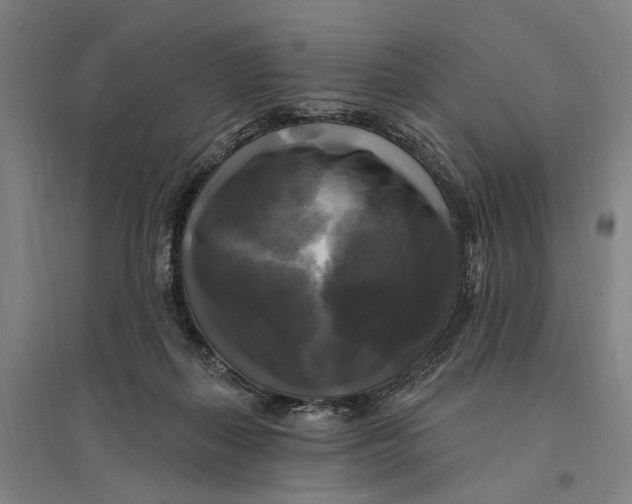 X0000095110267200712301744