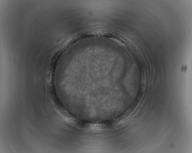 X0000095110268200712301744