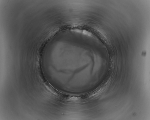 X0000095110269200712301744