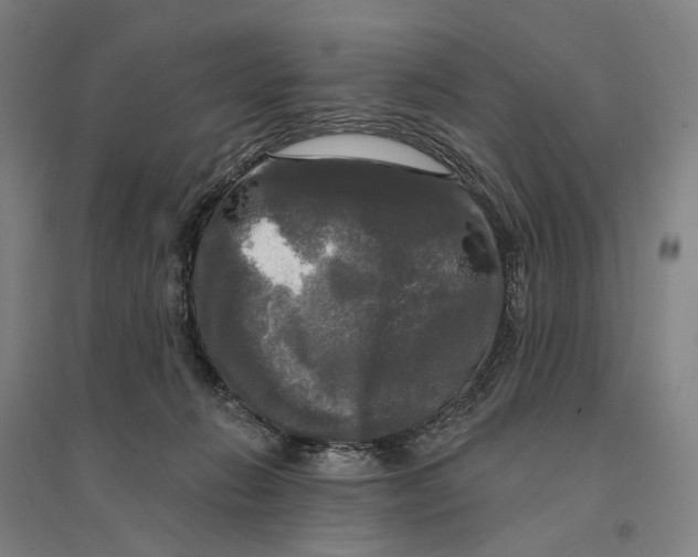 X0000095110270200712301744