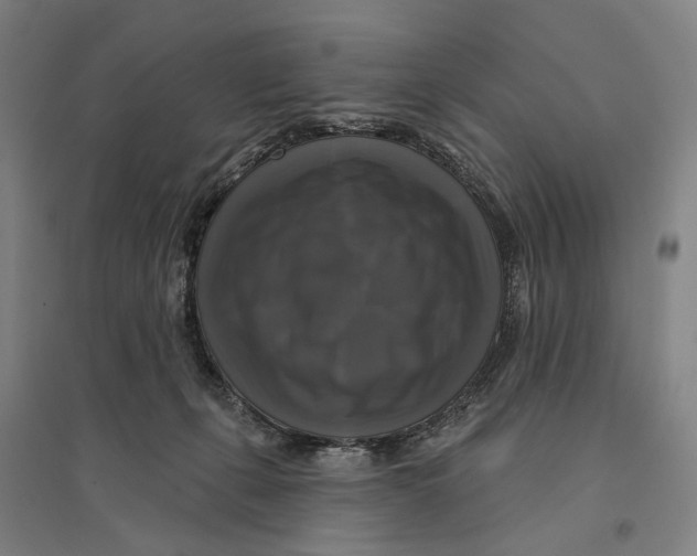 X0000095110271200712301744